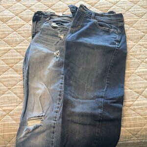 Banana Republic Women’s Jeans Bundle (Set of 2, Size 26/2) – Distressed Blue Den